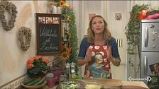 Vellutata di zucchine