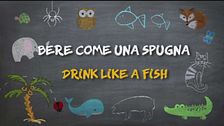 Si fa per dire...