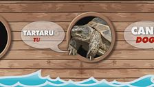 Welcome on board!