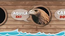 Welcome on board!
