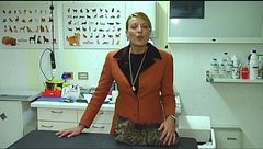 Puntata del 3 gennaio