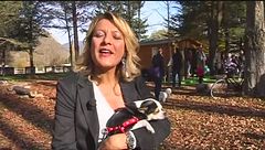 Puntata del 22 novembre