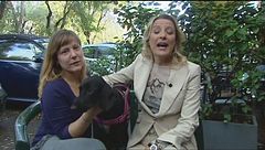 Puntata dell'8 novembre