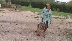 Puntata dell'1 novembre