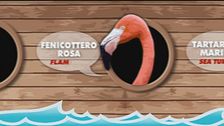 Welcome on board!