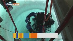 Gli straordinari fondali antartici