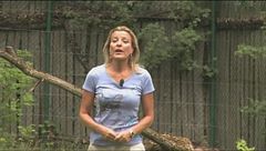 Puntata del 13 settembre