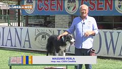 Lord a quattro zampe