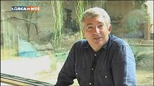 Il Drago di Komodo