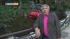 Testuggini al bioparco di Roma