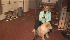 Puntata dell'8 febbraio