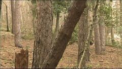 Puntata del 18 gennaio