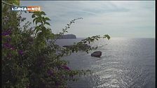 Isole nella corrente