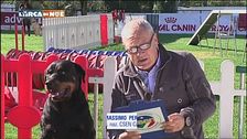I consigli di Massimo Perla