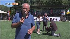 Il mastino napoletano