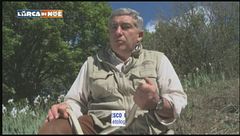 I rettili di casa nostra