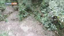 L'acchiappatartufi