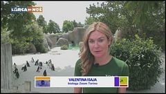 Lo sapevate che ...?