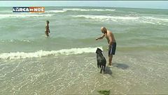 Al mare con Fido