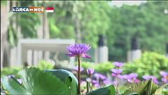 Il giardino dell'Est