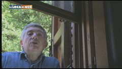 Il nido dei calabroni