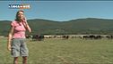 Puntata del 14 settembre