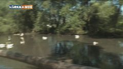 Puntata del 7 settembre