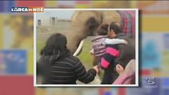 Il vergognoso circo Martin