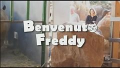 Benvenuto Freddy