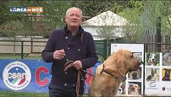 Un richiamo pronto e immediato