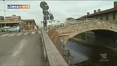 Un pappagallo sulla Papamobile