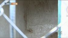 Animali in difficoltà: inquieti e sofferenti