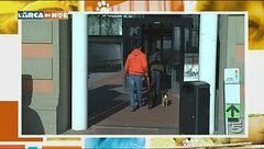 Puntata del 10 marzo