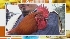 Puntata del 24 febbraio