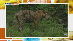 Puntata del 17 febbraio