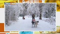 Puntata del 10 febbraio