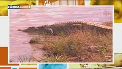 Puntata del 27 gennaio