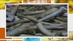 Puntata del 13 gennaio