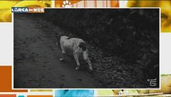 Puntata del 6 gennaio