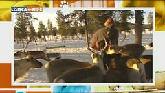 Puntata del 23 dicembre