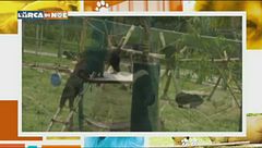 Puntata del 16 dicembre