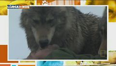 Puntata del 25 novembre