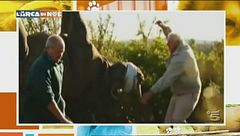 Puntata dell'11 novembre