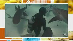 Puntata del 14 ottobre