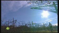 Campione di agricoltura