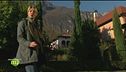 Puntata del 25 dicembre