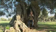 Puntata del 18 dicembre