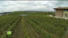 I vini del Garda