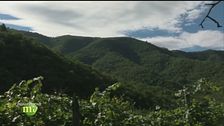 Terra di nocciole