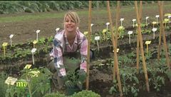 Puntata del 10 aprile